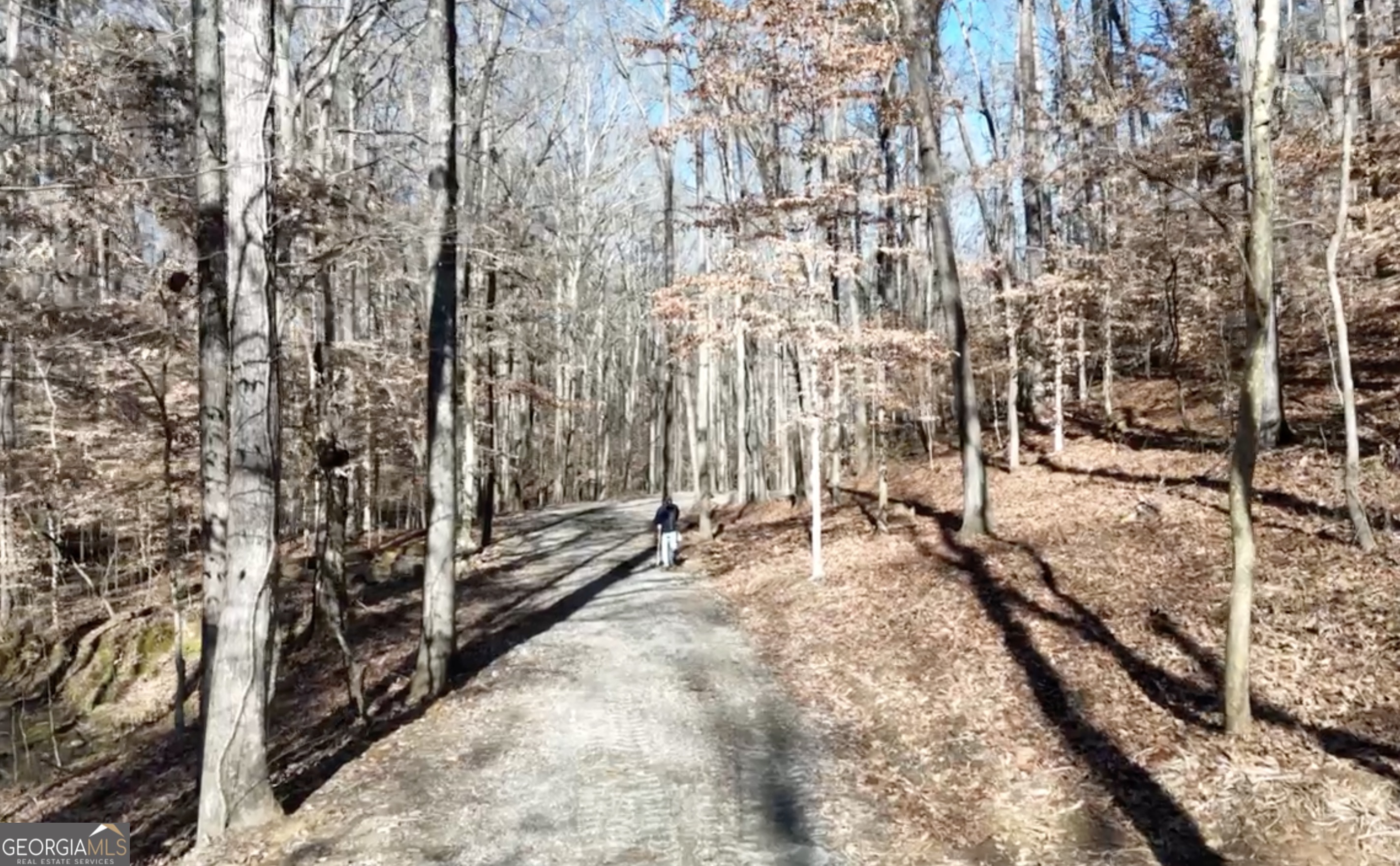 6137 Little Ridge Road, Unit LOT #3 Acworth, GA 30102 - Photo 27 of 39 a view of outdoor space with lots of trees