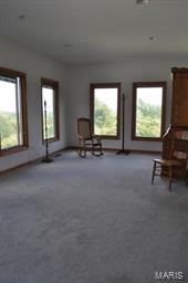 1040 Matson Hill Road Defiance, MO 63341 - Photo 36 of 60 Gallery Image 36
