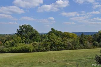 1040 Matson Hill Road Defiance, MO 63341 - Photo 56 of 60 Gallery Image 56