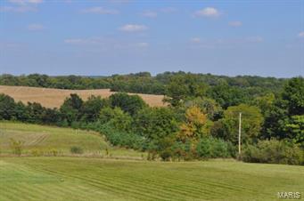 1040 Matson Hill Road Defiance, MO 63341 - Photo 8 of 60 Gallery Image 8