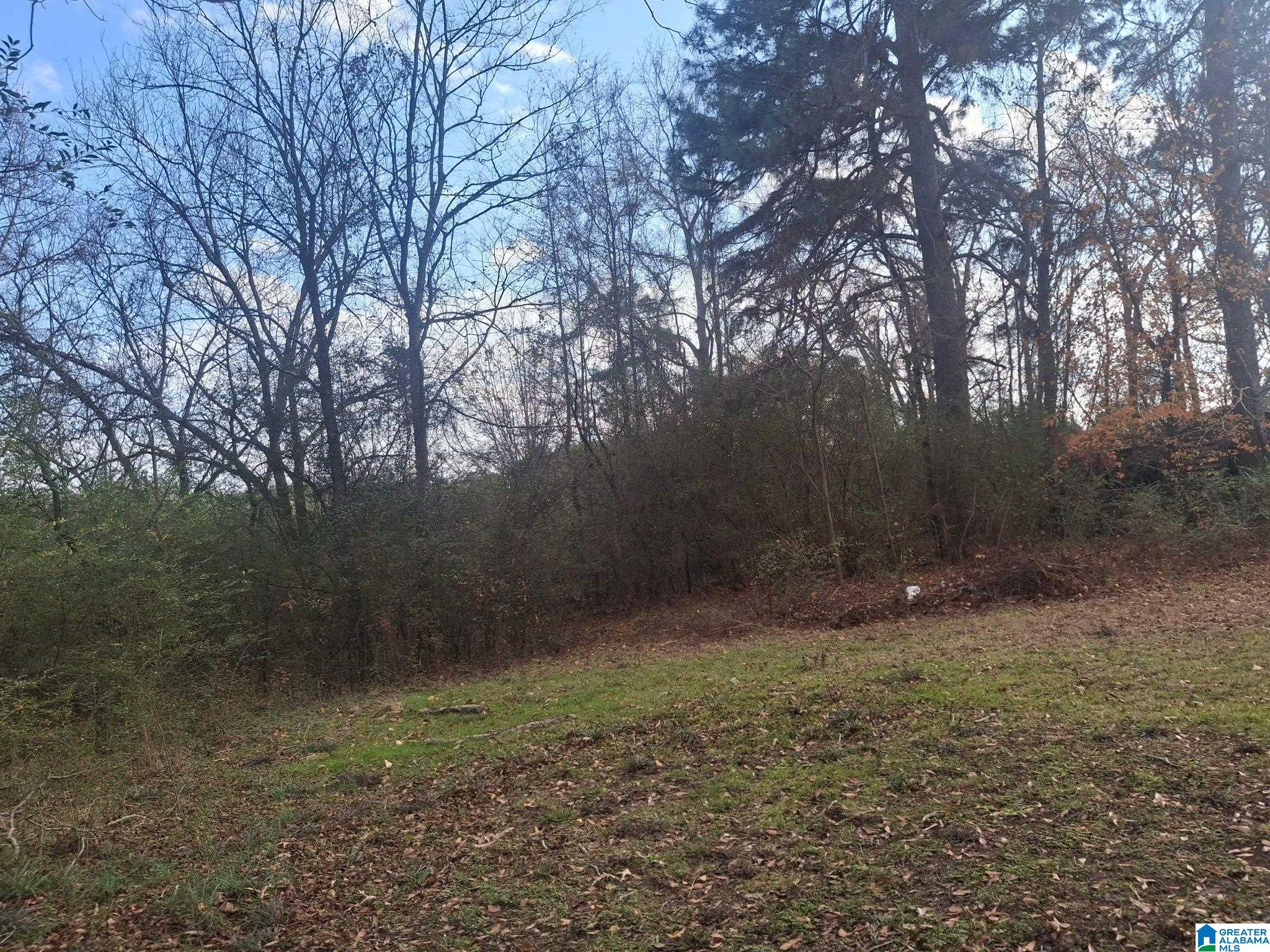 8475 County Line Road Dora, AL 35062 - Photo 2 of 7 Gallery Image 2