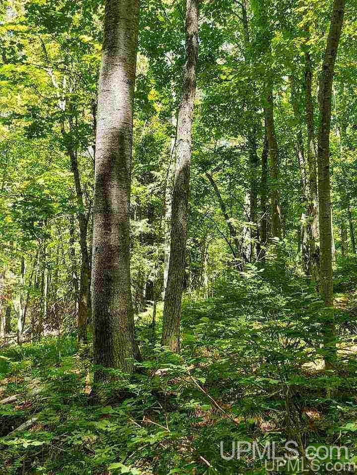 Tbd Tbd Indian Cemetery Road Lanse, MI 49946 - Photo 34 of 40