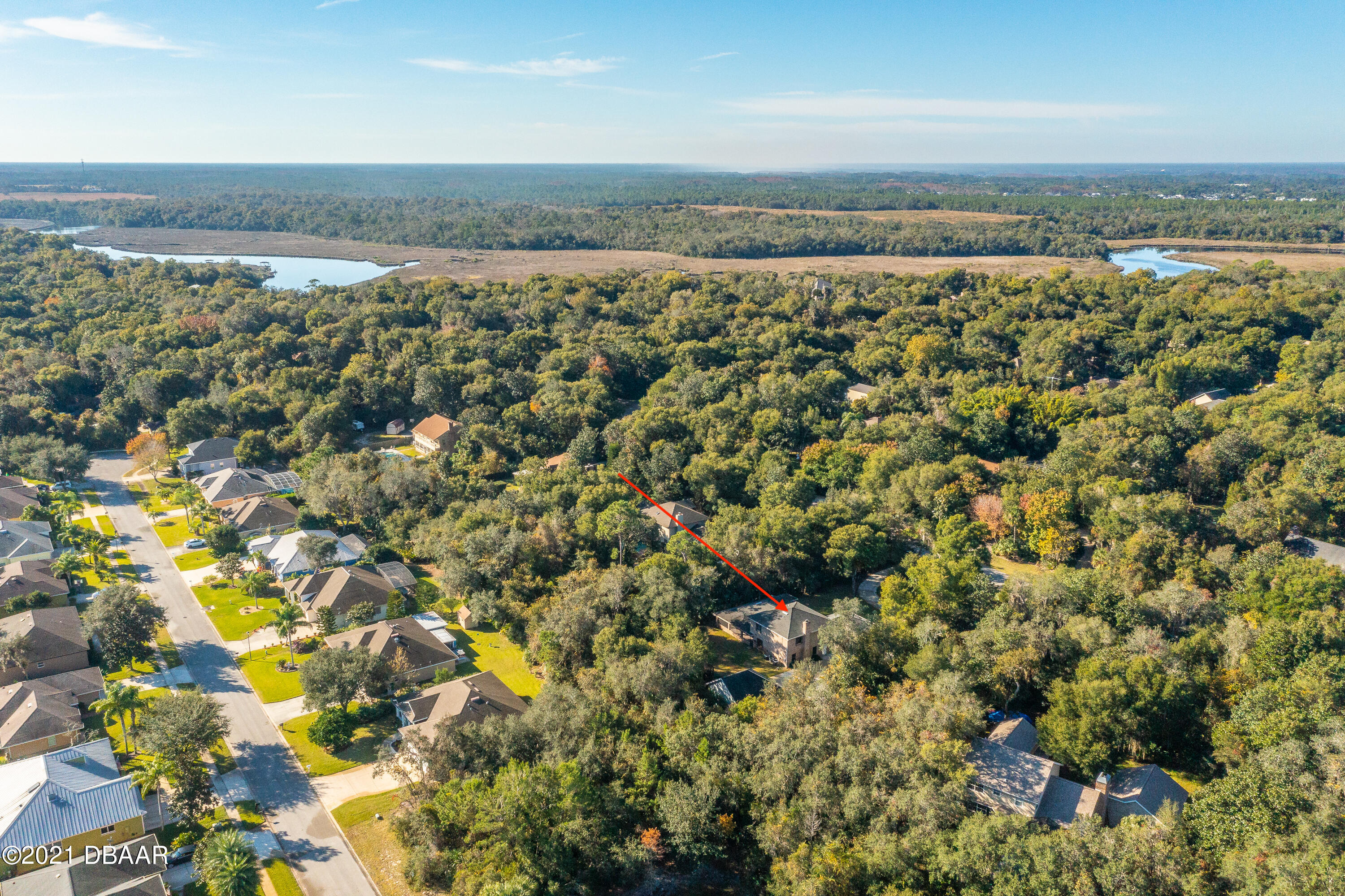 659 Needlerush Road Port Orange, FL 32127 - Photo 53 of 57 VIEW 8