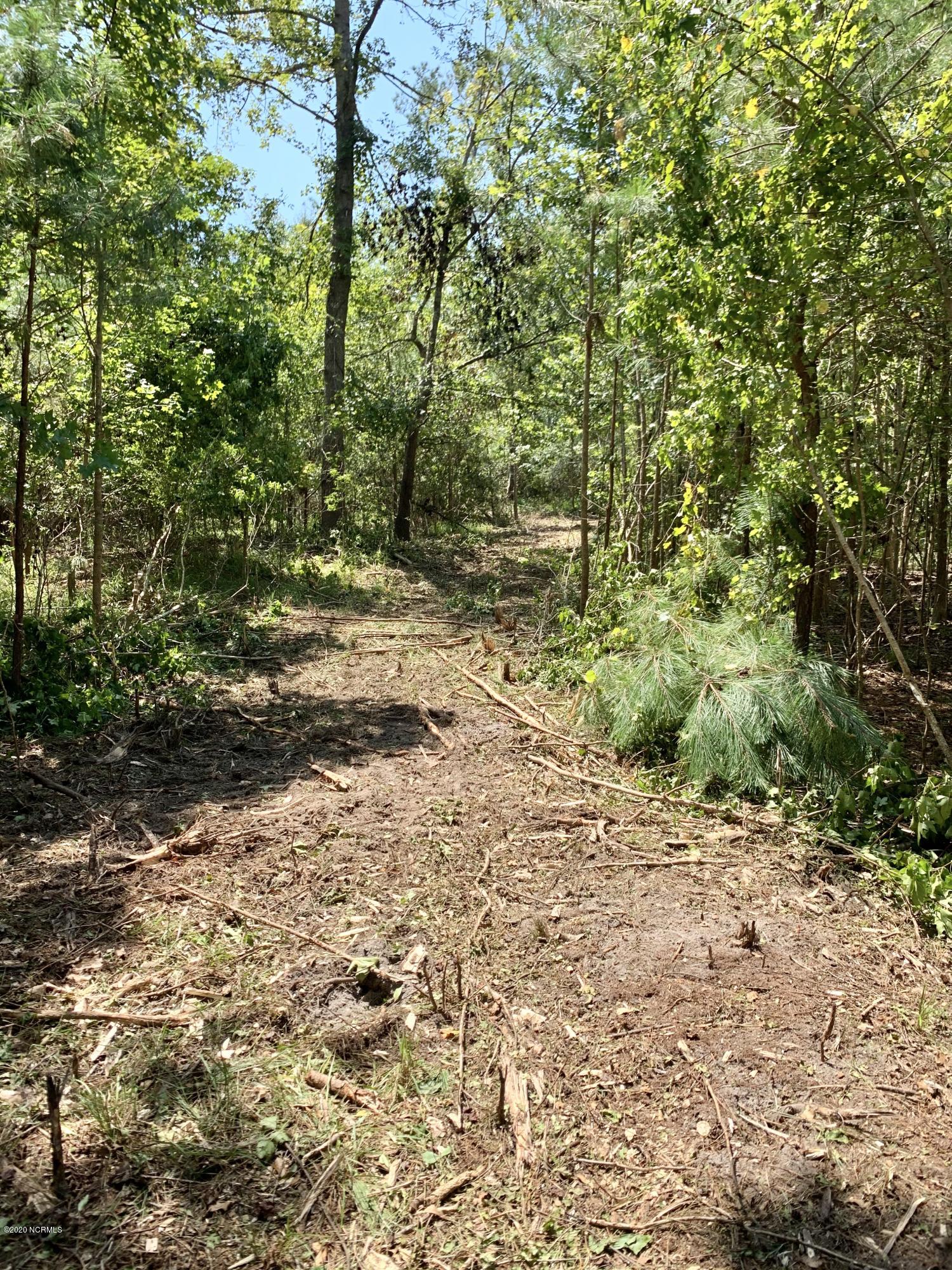 Lot 121 Corcus Ferry Road Hampstead, NC 28443 - Photo 12 of 29 IMG-1045