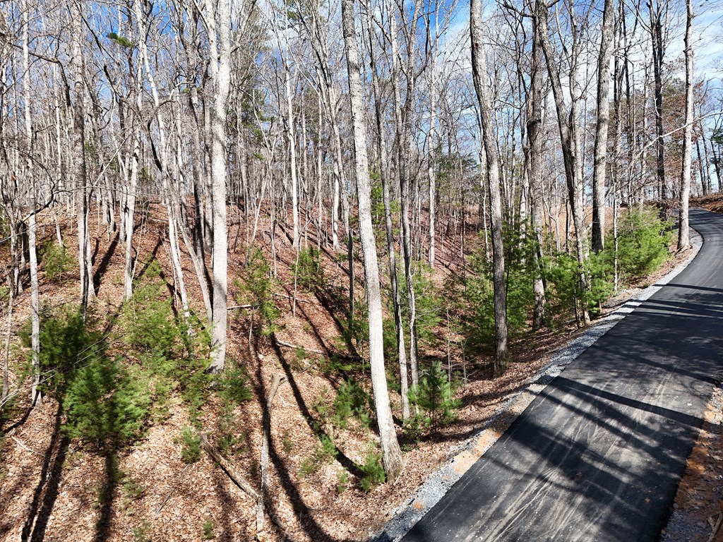 2.94-acr Padena Road Blue Ridge, GA 30513 - Photo 22 of 43 a backyard of a house with lots of green space