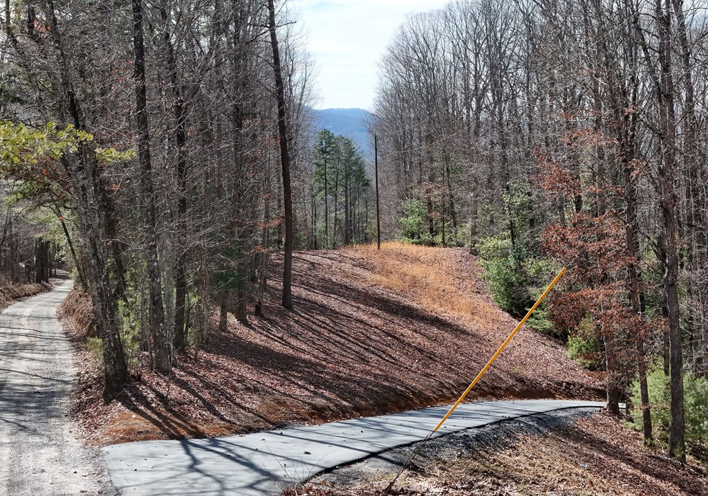 2.94-acr Padena Road Blue Ridge, GA 30513 - Photo 3 of 43 a view of a backyard with trees