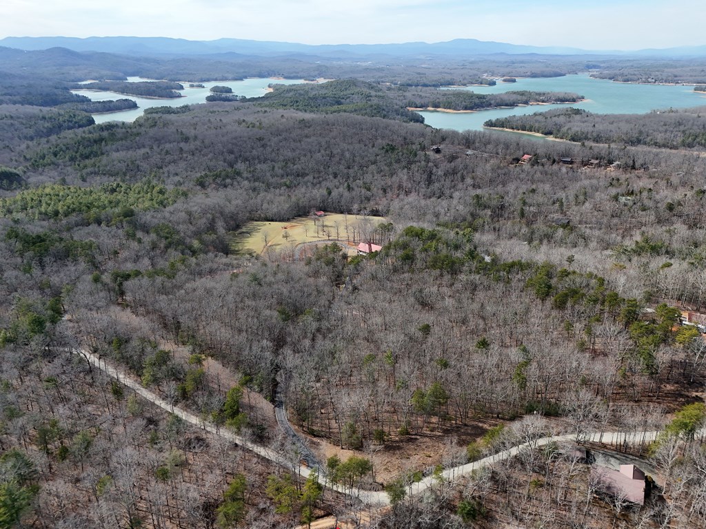 2.94-acr Padena Road Blue Ridge, GA 30513 - Photo 33 of 43 a view of a dry field