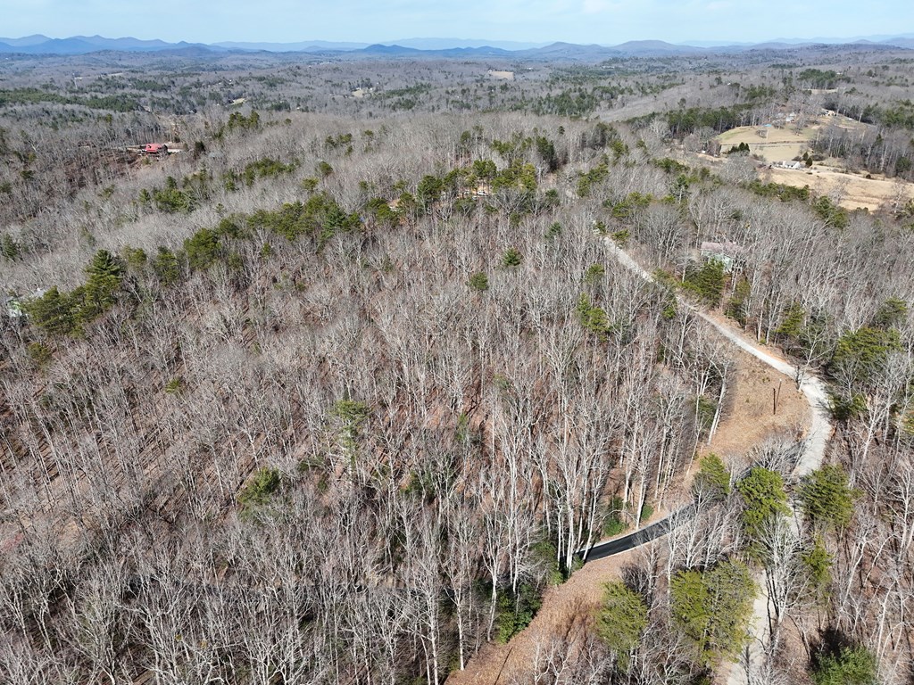 2.94-acr Padena Road Blue Ridge, GA 30513 - Photo 43 of 43 an aerial view of forest