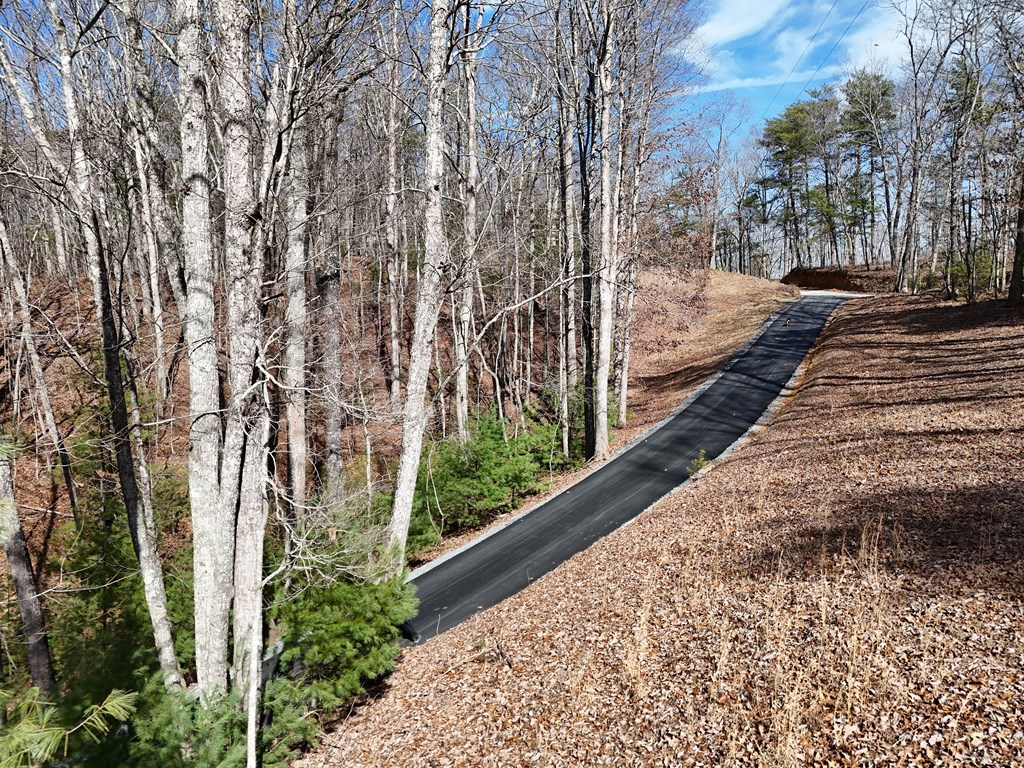 2.94-acr Padena Road Blue Ridge, GA 30513 - Photo 8 of 43 a view of a pathway with a yard