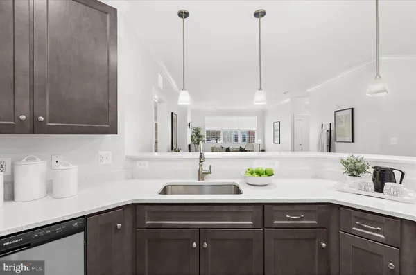a kitchen with a sink and a potted plant