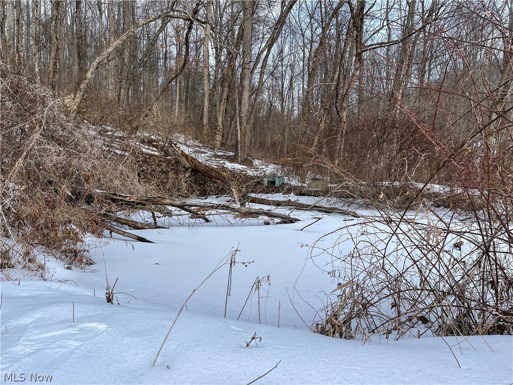 16602 Dog Road Southwest Newcomerstown, OH 43832 - Photo 22 of 29 Gallery Image 22