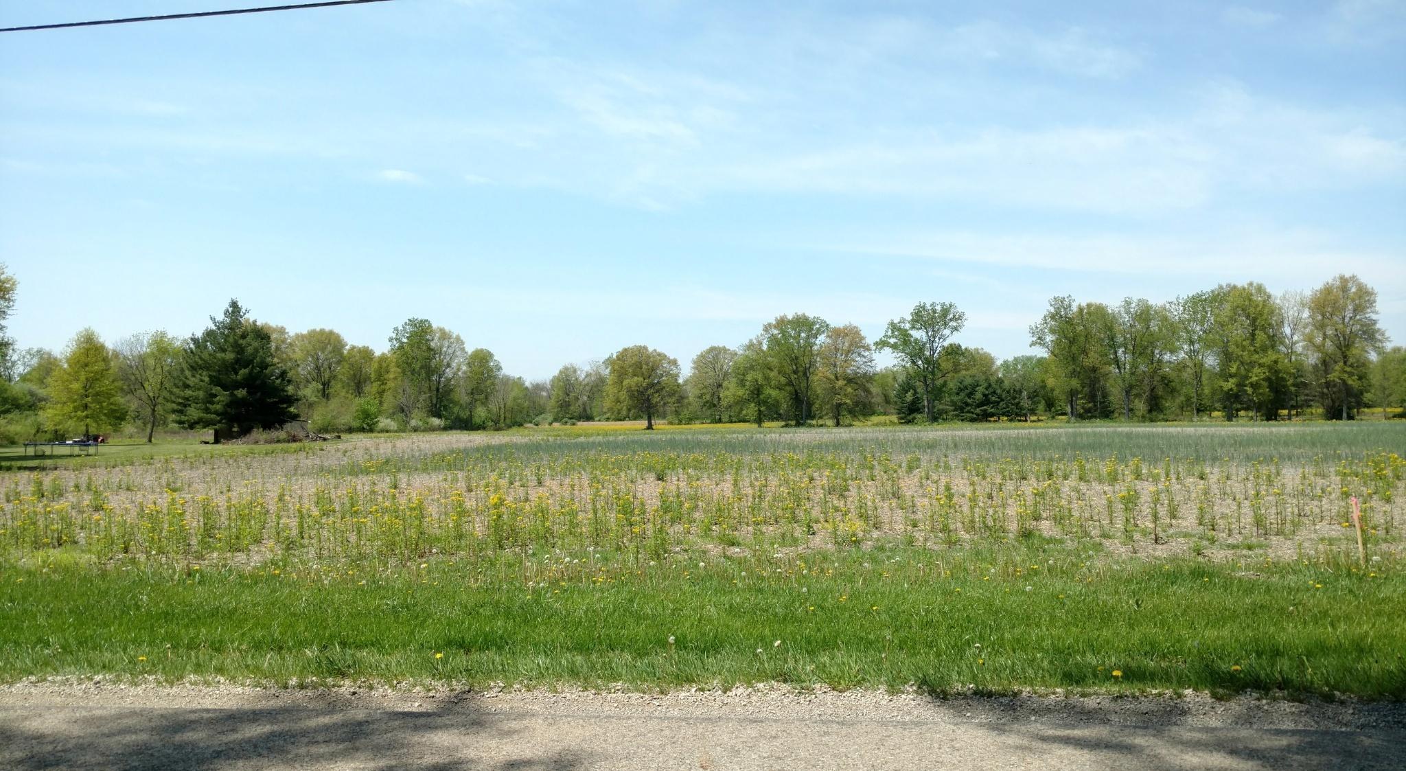 0 Gale Road Southwest, Unit LOT 4 Hebron, OH 43025 - Photo 3 of 10