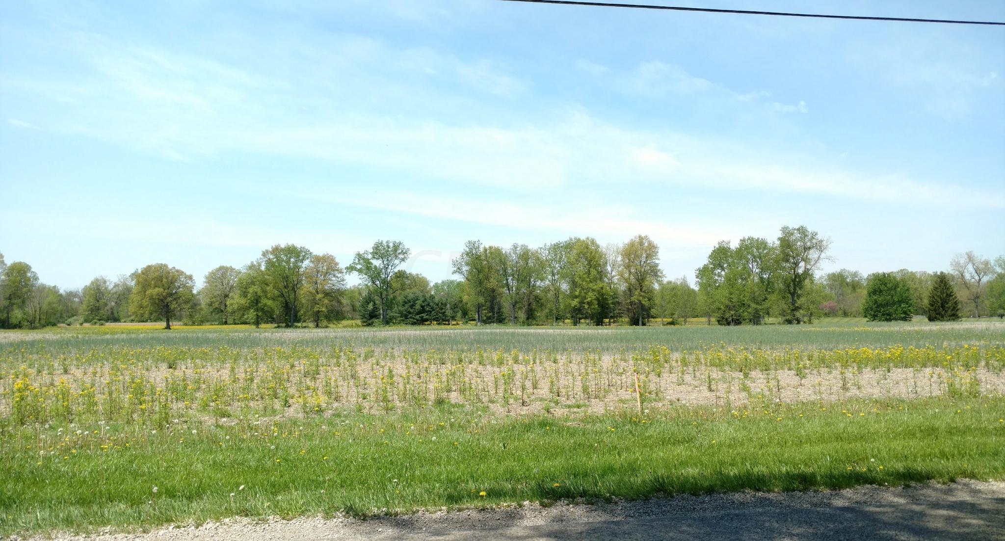 0 Gale Road Southwest, Unit LOT 4 Hebron, OH 43025 - Photo 4 of 10