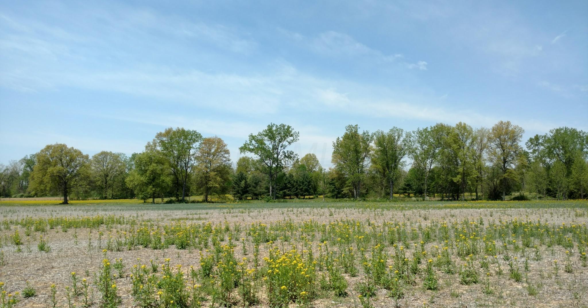 0 Gale Road Southwest, Unit LOT 4 Hebron, OH 43025 - Photo 5 of 10