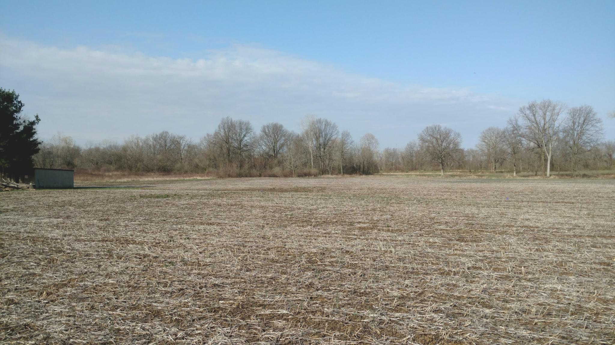 0 Gale Road Southwest, Unit LOT 4 Hebron, OH 43025 - Photo 6 of 10