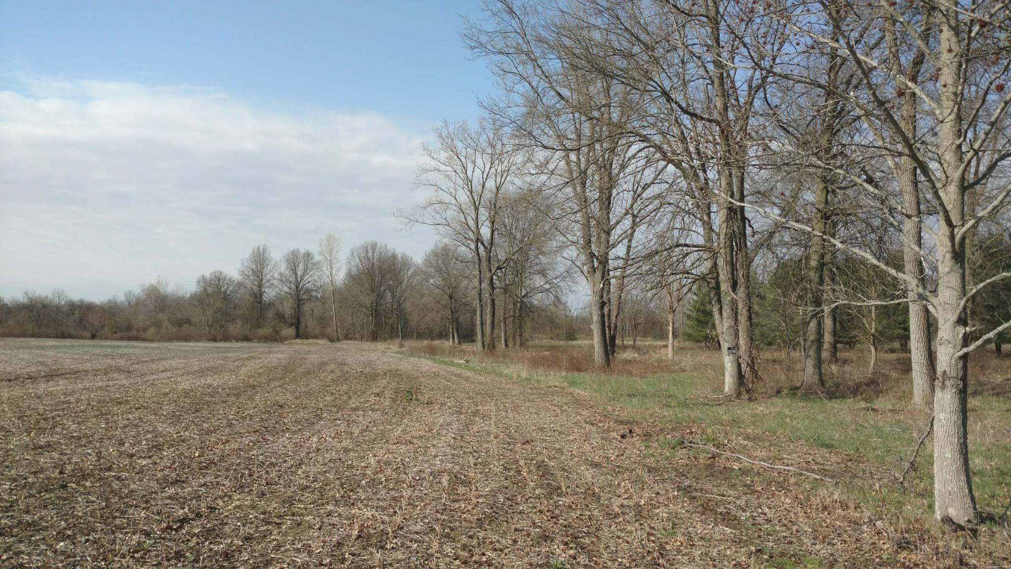 0 Gale Road Southwest, Unit LOT 4 Hebron, OH 43025 - Photo 8 of 10