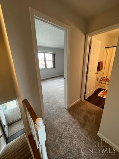 5654 Cheviot Road, Unit 2 Cincinnati, OH 45247 - Photo 17 of 31