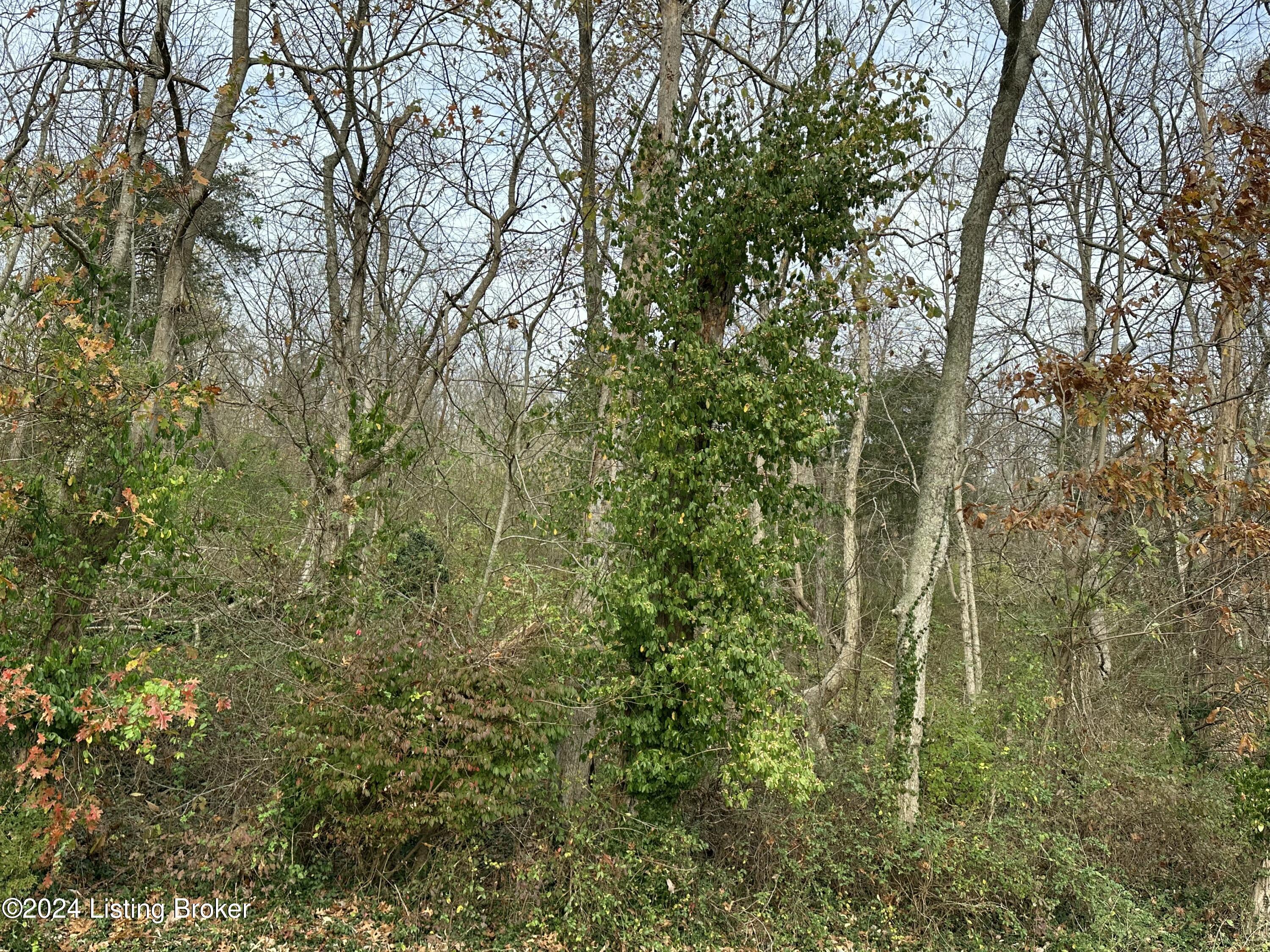 0 River Road Worthville, KY 41098 - Photo 15 of 23 River Rd