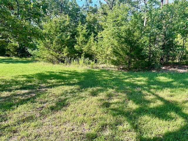 215 Granite Drive Reeds Spring, MO 65737 - Photo 1 of 1 IMG_9011