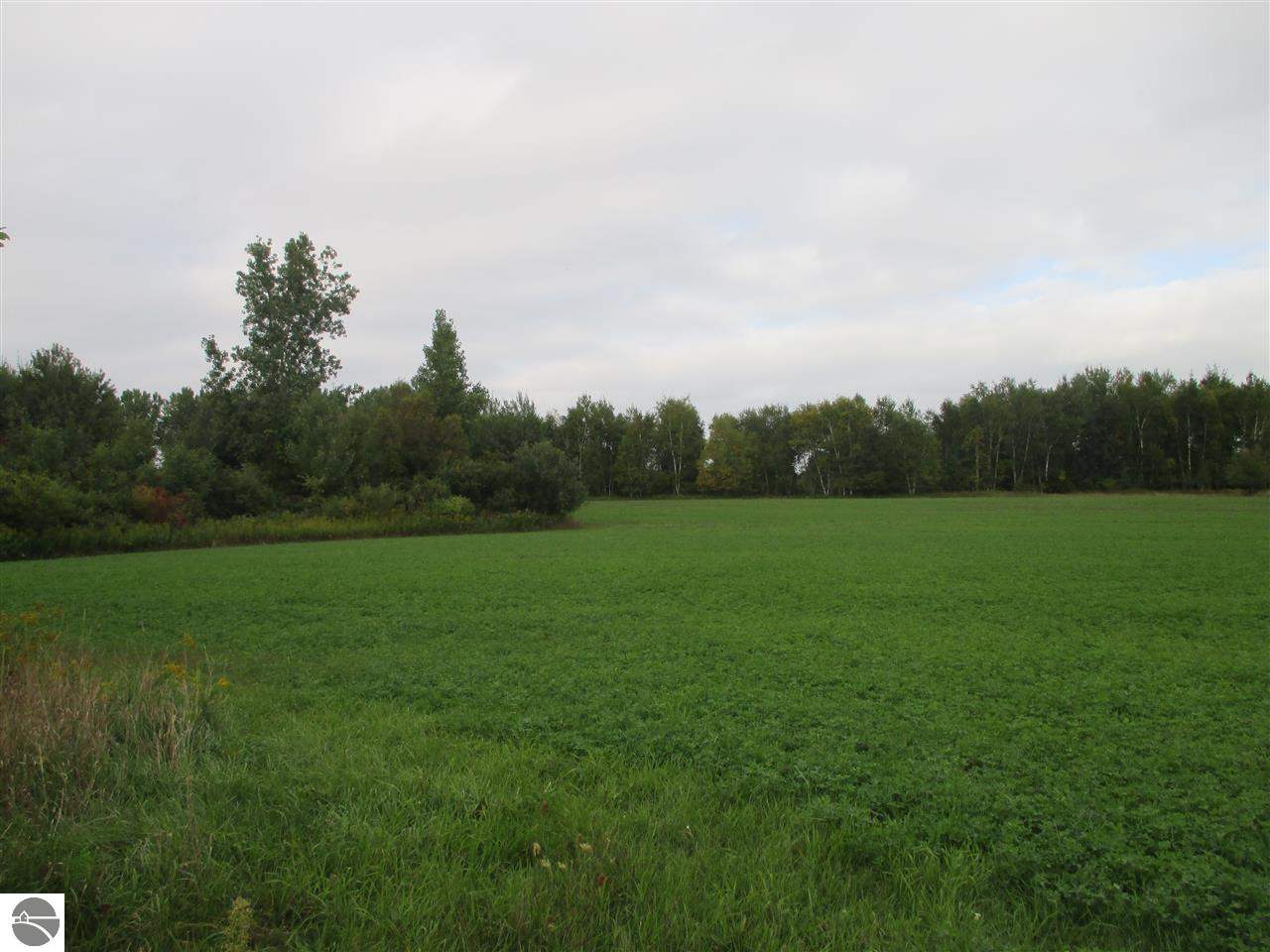 9524 East Pleasant Valley Road Shepherd, MI 48883 - Photo 9 of 11 1790580-8.JPG