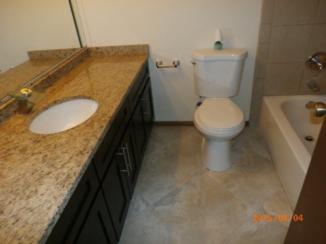 3473 Gilbert Court Crete, IL 60417 - Photo 4 of 7
