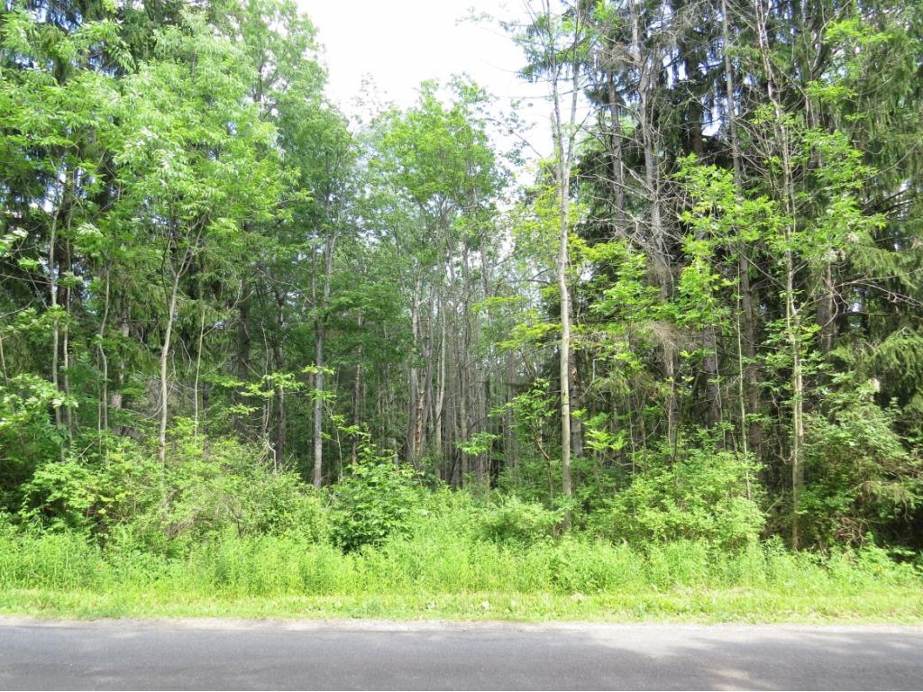 224 N Road Windsor, NY 13865 - Photo 4 of 4