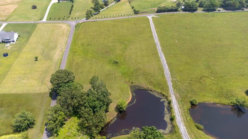 0 McCorkle Road Baneberry, TN 37890 - Photo 14 of 18