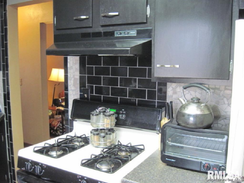 2125 East Buchanan Street Springfield, IL 62703 - Photo 4 of 21