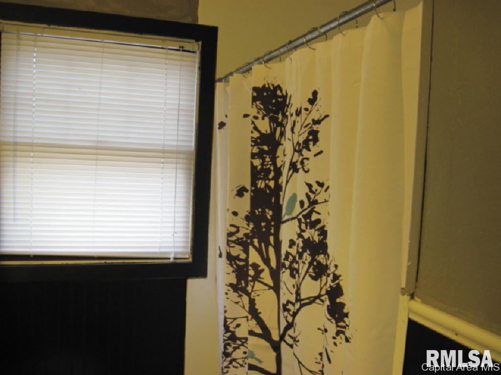2125 East Buchanan Street Springfield, IL 62703 - Photo 7 of 21