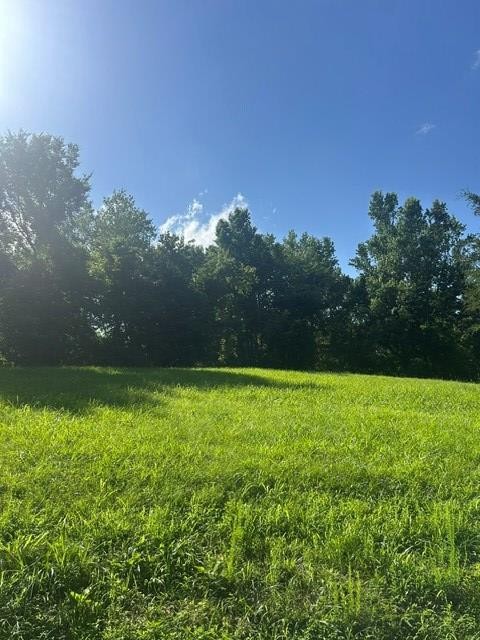 620 Eva Flatwoods Road Eva, TN 38333 - Photo 23 of 40