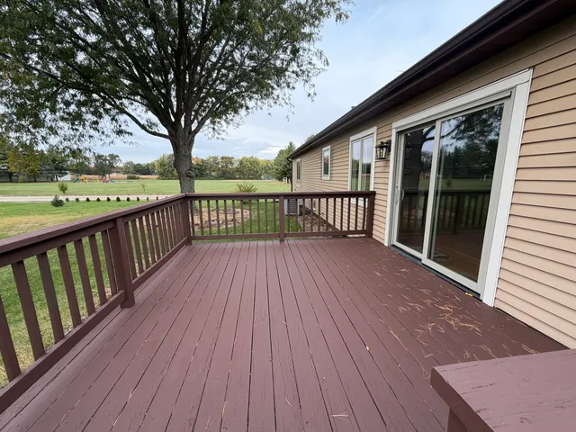 a view of a large garden with plants and large trees