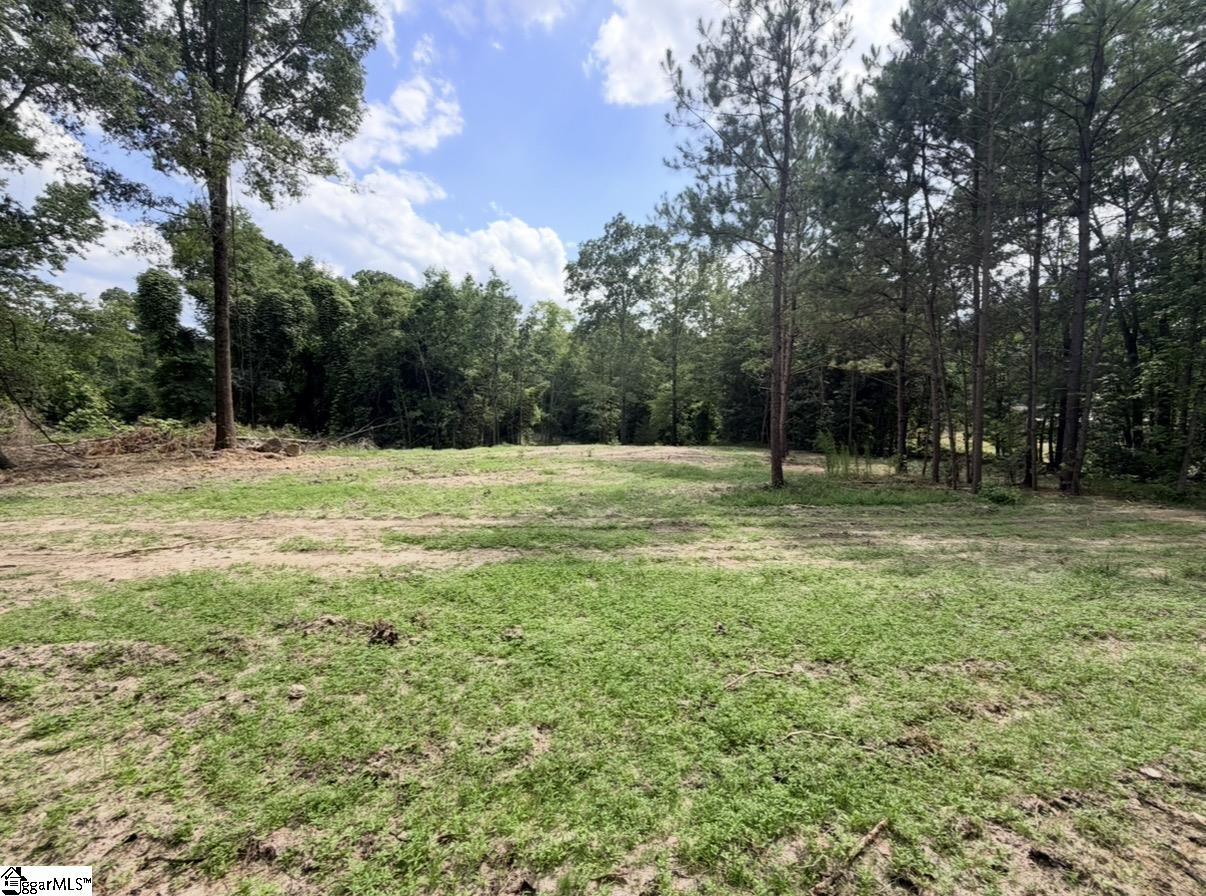 0 Lee Street Johnston, SC 29832 - Photo 15 of 21