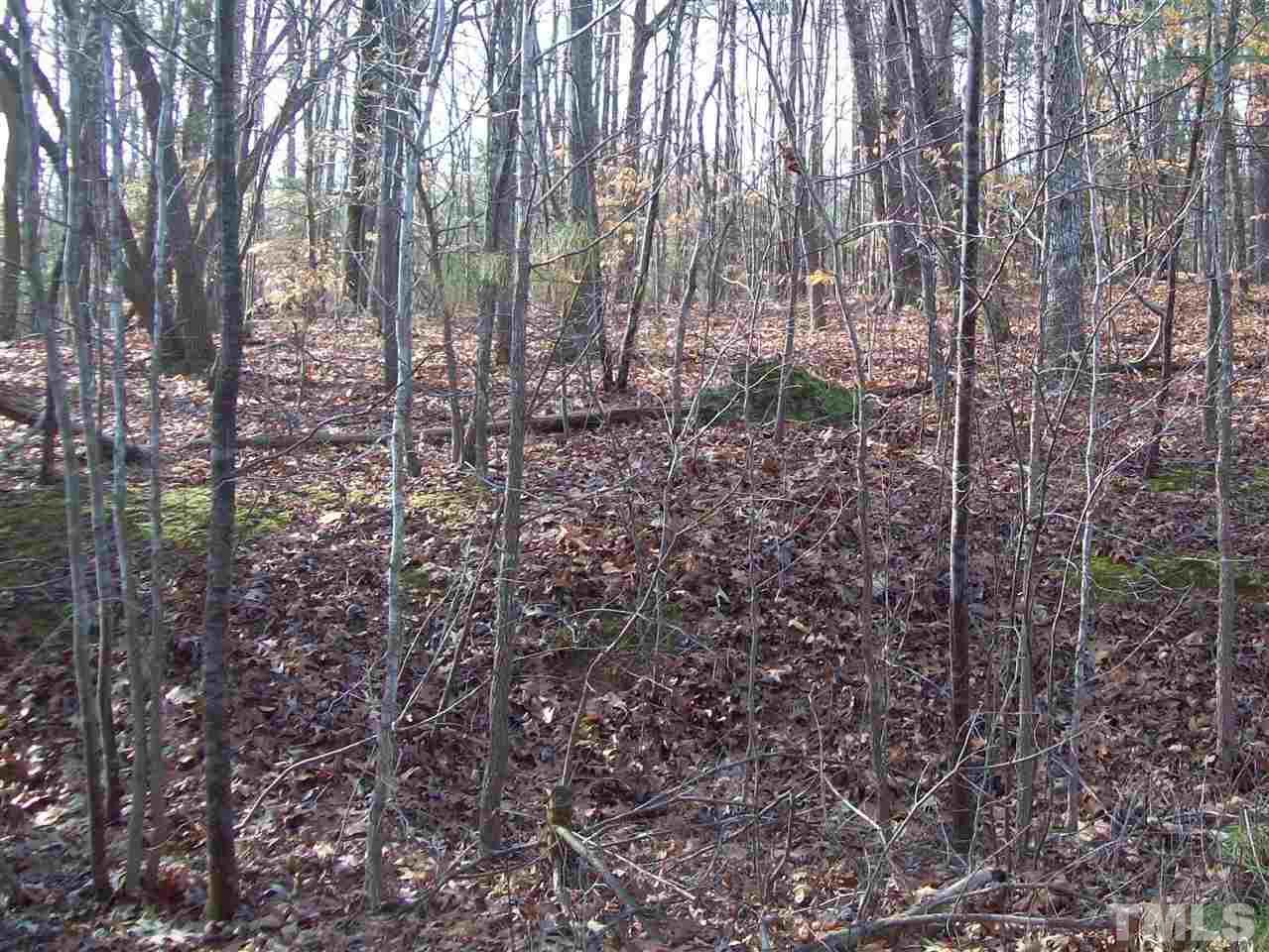 Lot 7 Kiser Hicks Road Roxboro, NC 27574 - Photo 1 of 1