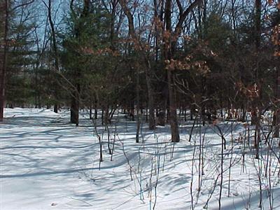 1705 Tom Nolan Road Allegan, MI 49010 - Photo 1 of 1 Primary Photo