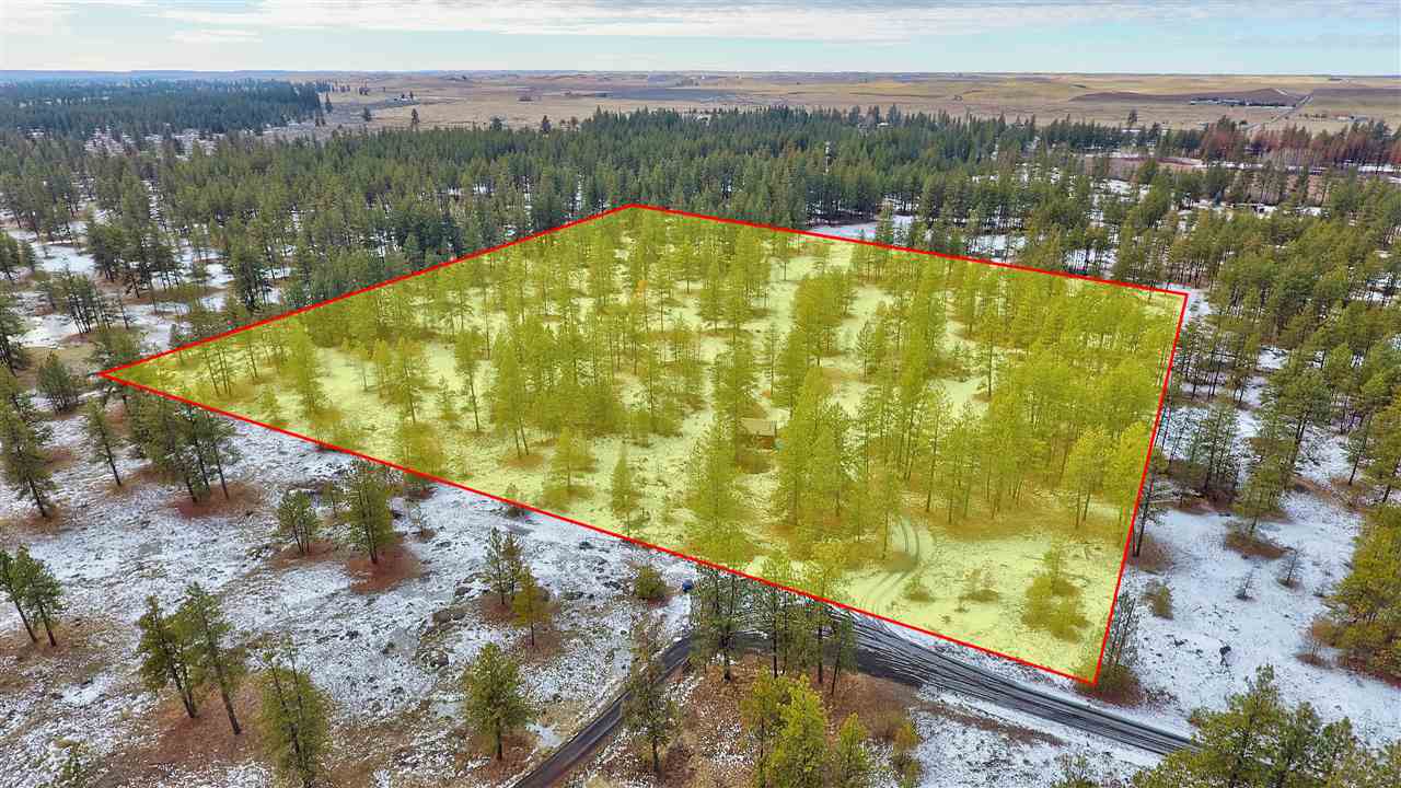 15910 South Hunter Road Edwall, WA 99008 - Photo 2 of 20