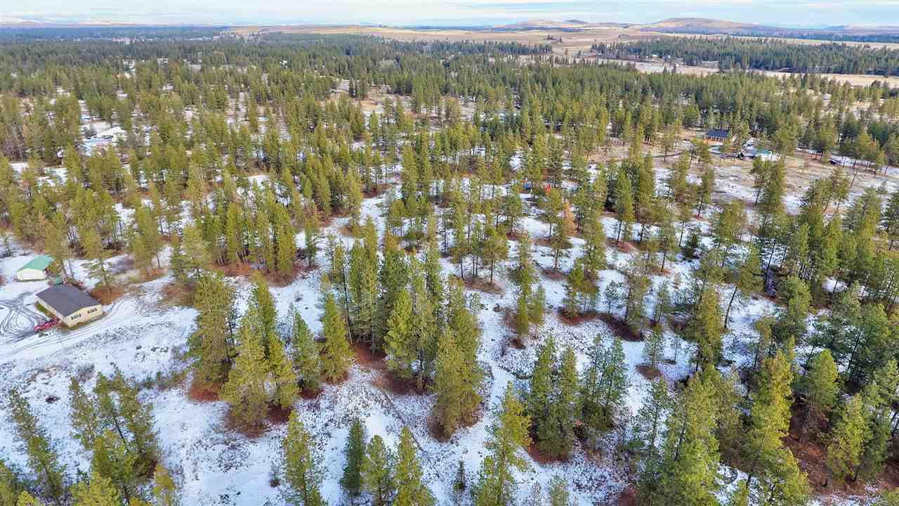 15910 South Hunter Road Edwall, WA 99008 - Photo 11 of 20