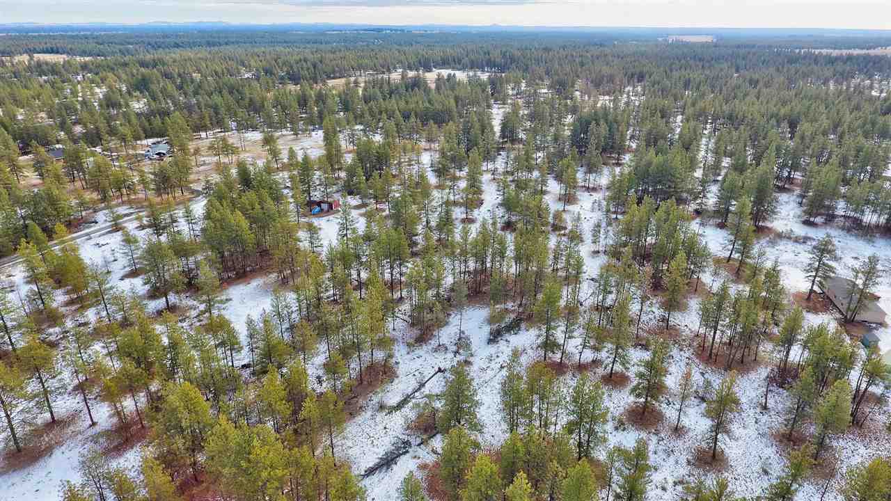 15910 South Hunter Road Edwall, WA 99008 - Photo 13 of 20