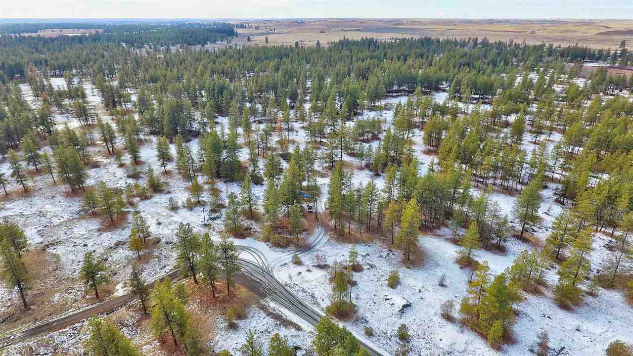 15910 South Hunter Road Edwall, WA 99008 - Photo 14 of 20
