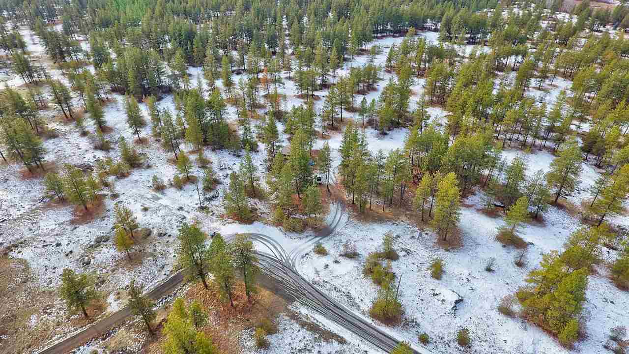 15910 South Hunter Road Edwall, WA 99008 - Photo 15 of 20