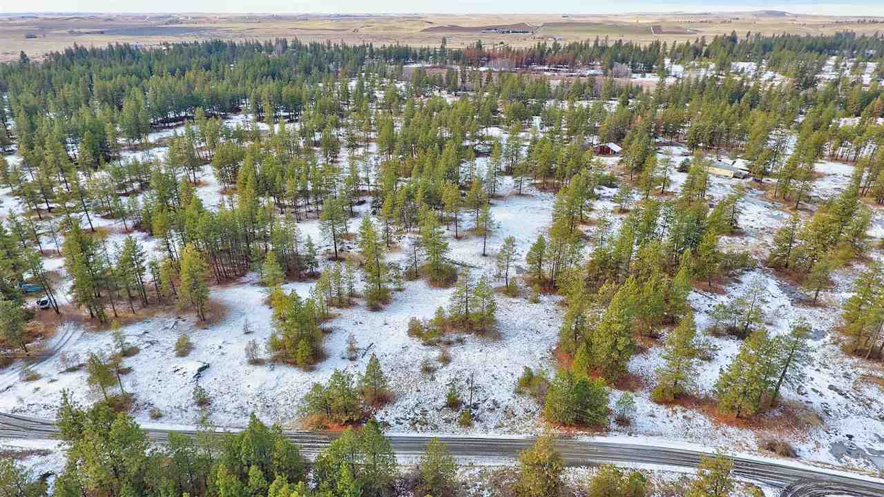 15910 South Hunter Road Edwall, WA 99008 - Photo 16 of 20