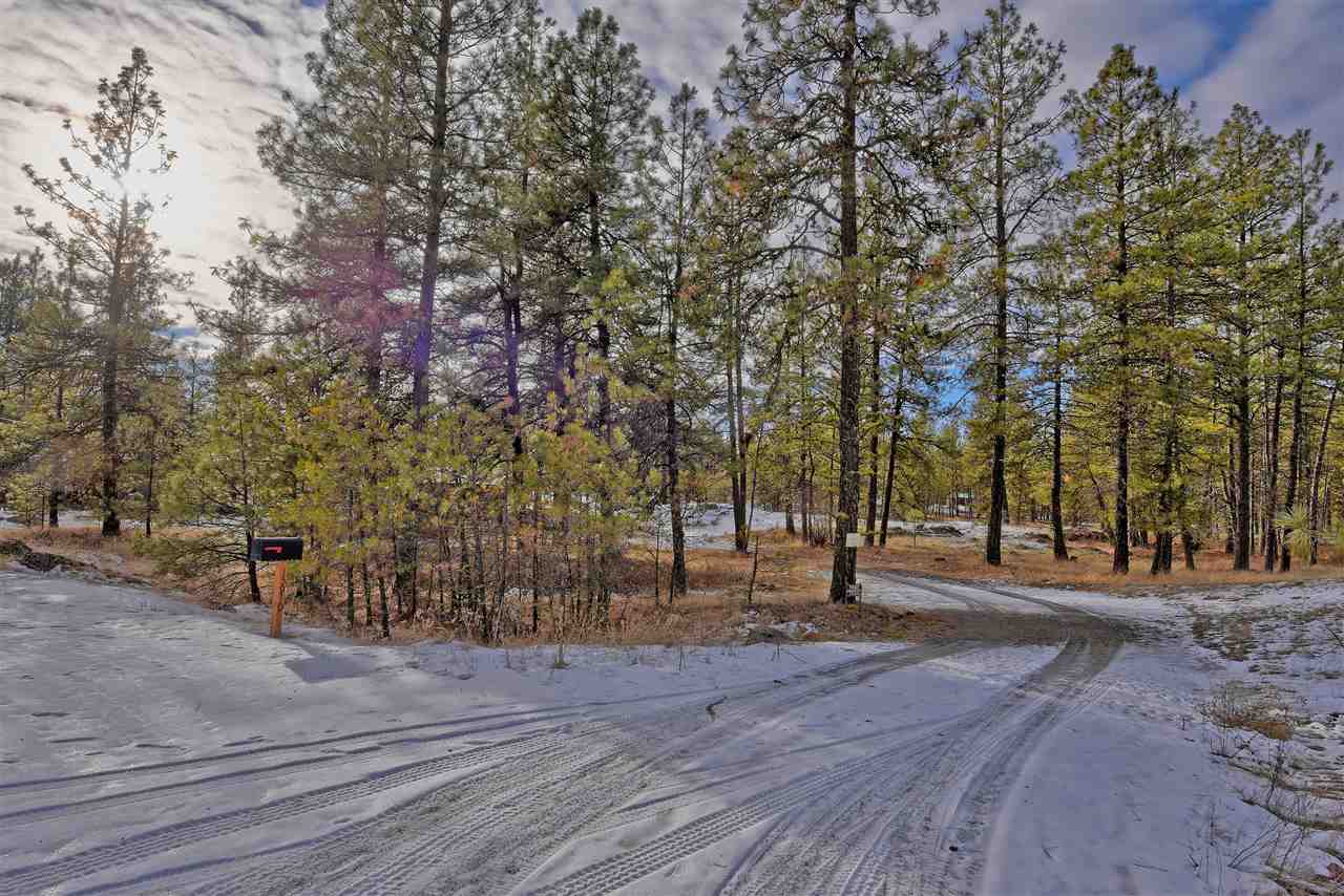 15910 South Hunter Road Edwall, WA 99008 - Photo 3 of 20