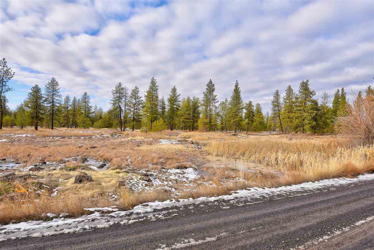 15910 South Hunter Road Edwall, WA 99008 - Photo 7 of 20