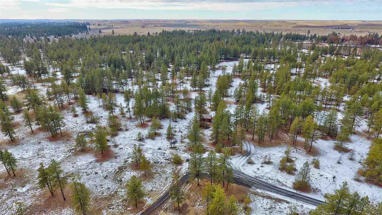 15910 South Hunter Road Edwall, WA 99008 - Photo 8 of 20