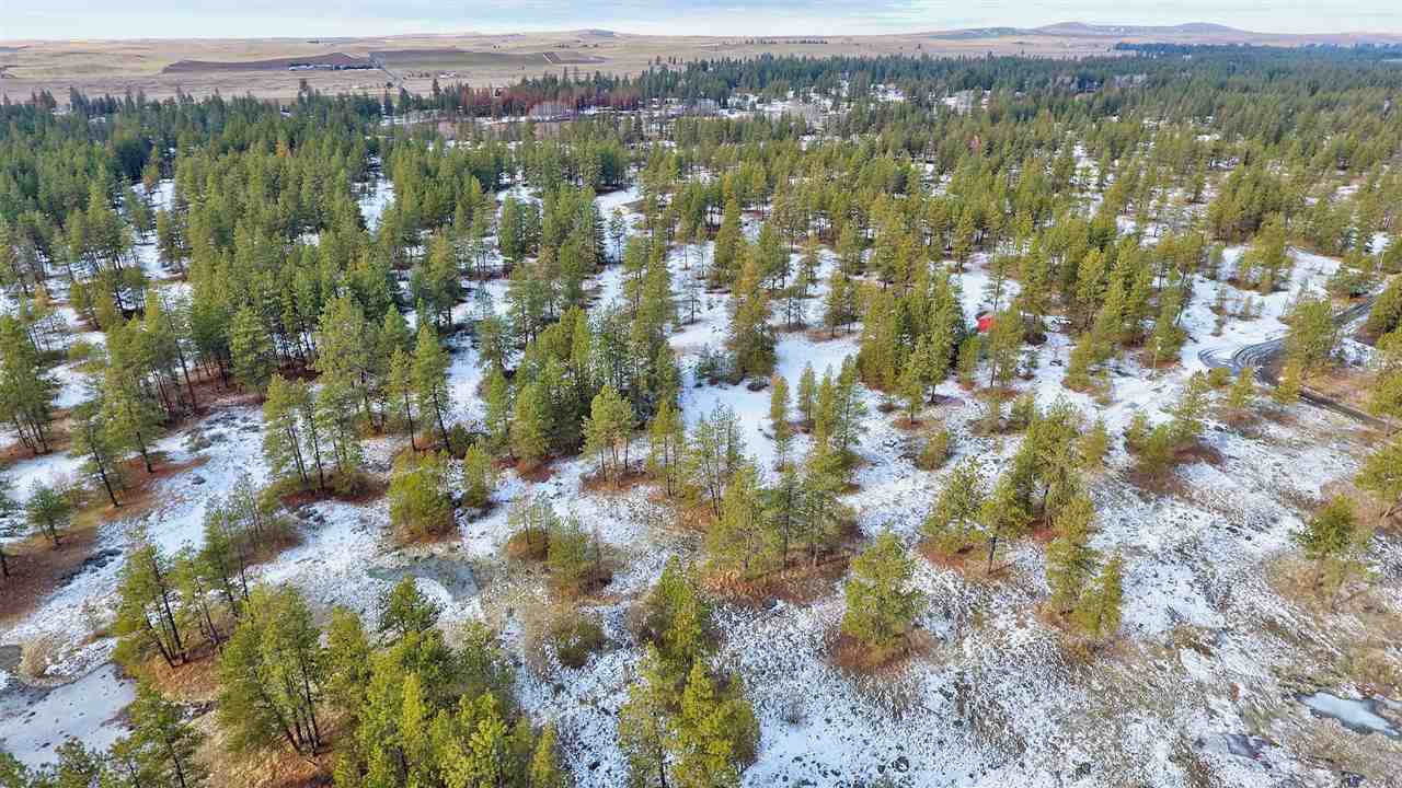 15910 South Hunter Road Edwall, WA 99008 - Photo 10 of 20