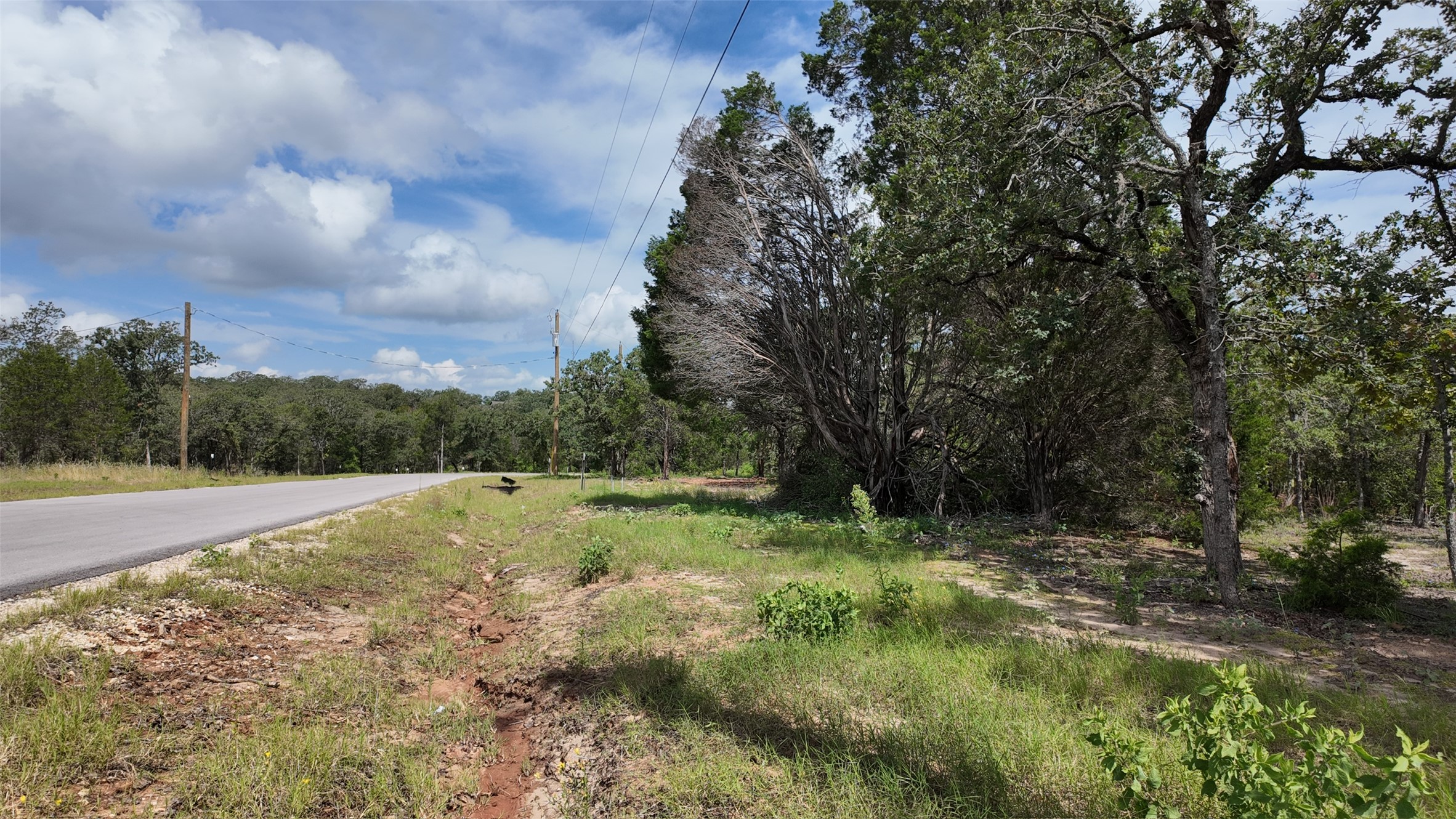160 Los Robles Road Elgin, TX 78621 - Photo 3 of 4 Mature trees line the paved road, creating a verdant border for this promising parcel of land.