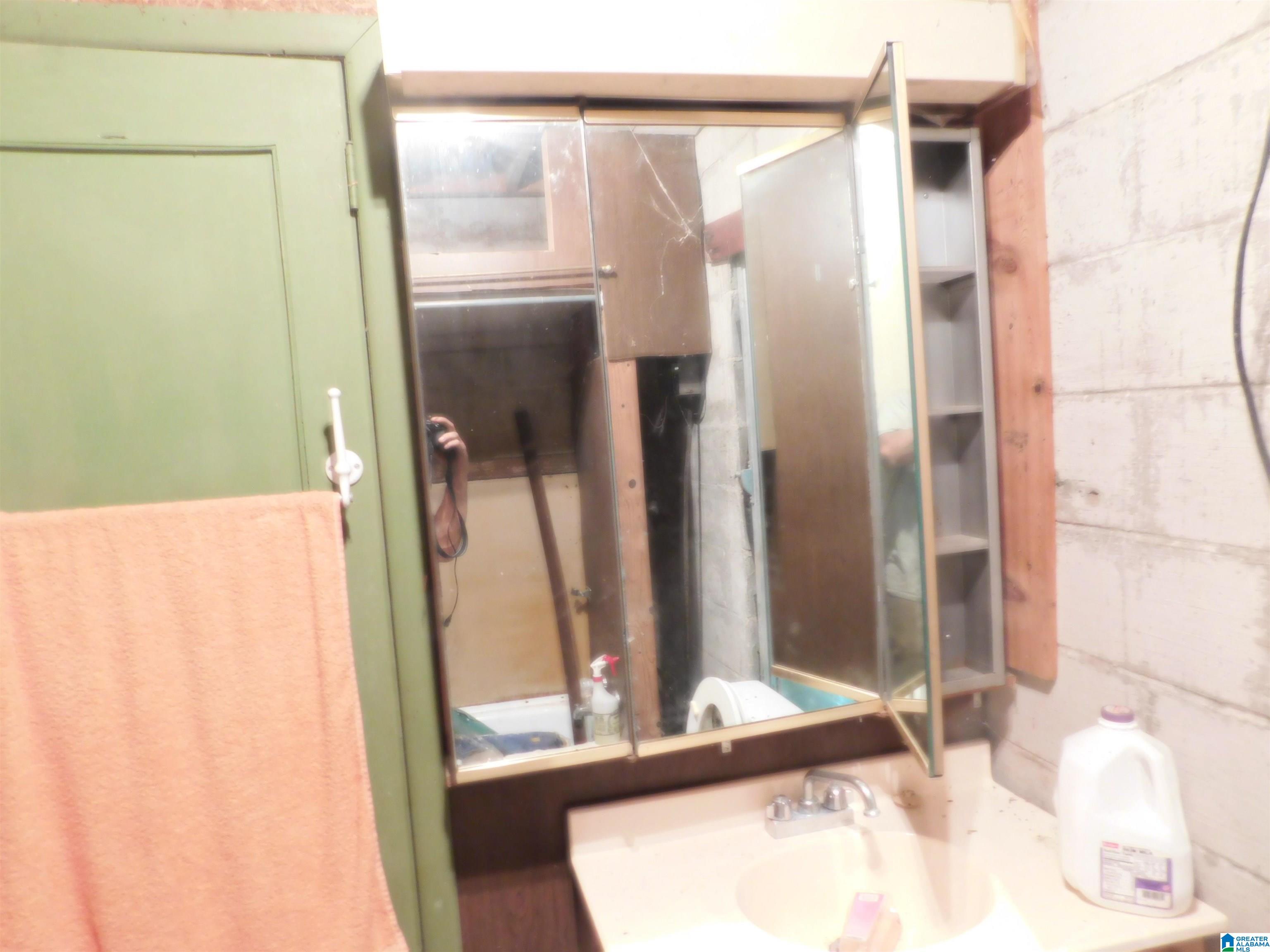 1309 Denas Cove Road Ragland, AL 35131 - Photo 9 of 38 Gallery Image 9