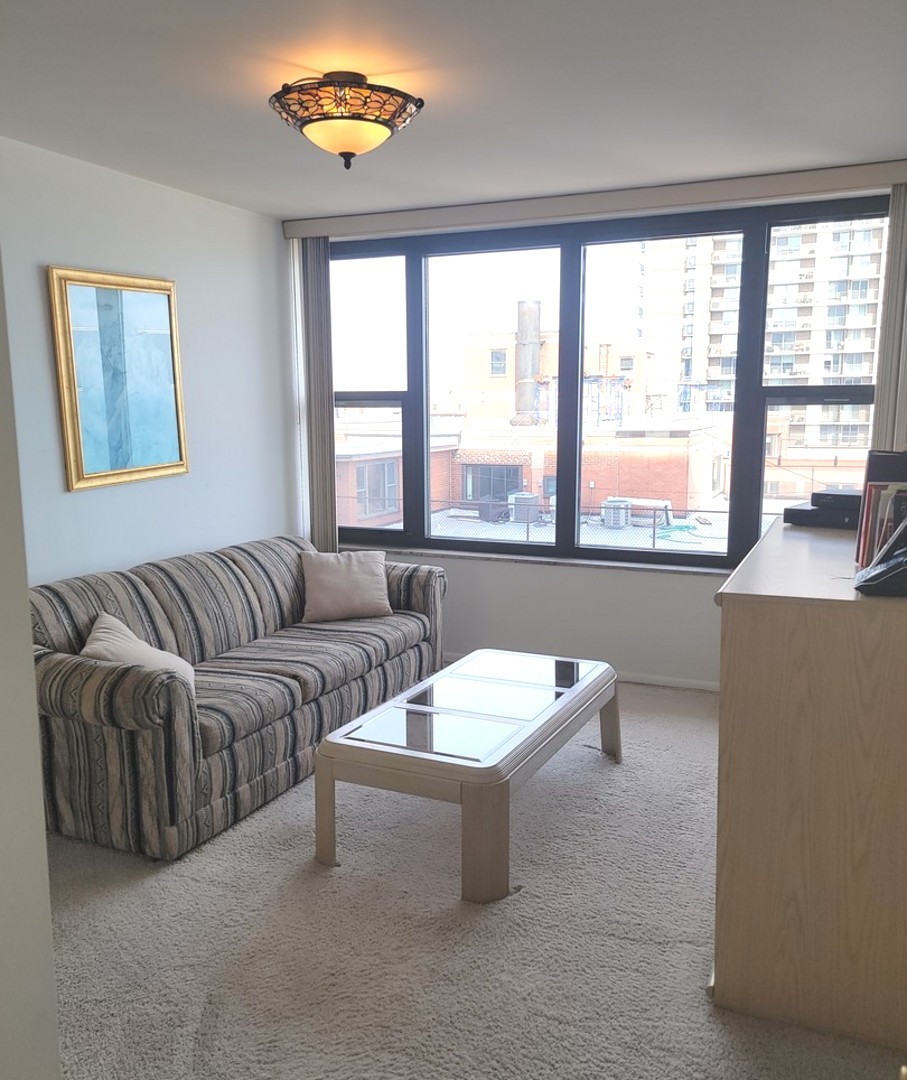 5801 North Sheridan Road, Unit 15B Chicago, IL 60660 - Photo 22 of 36 Gallery Image 22