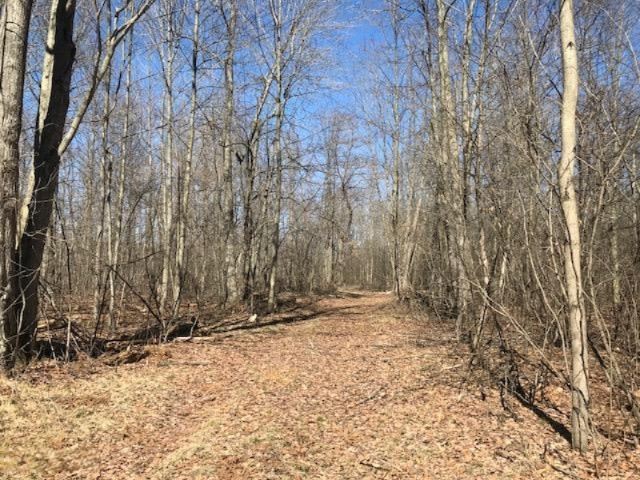0 Harding Road Barryton, MI 49305 - Photo 1 of 8 3
