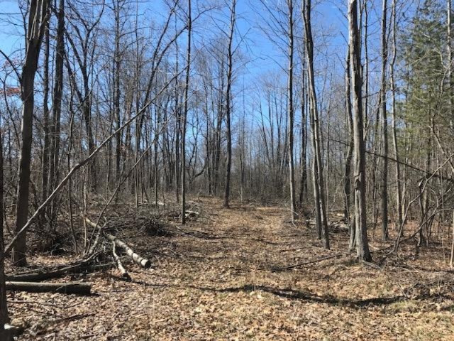 0 Harding Road Barryton, MI 49305 - Photo 6 of 8 1