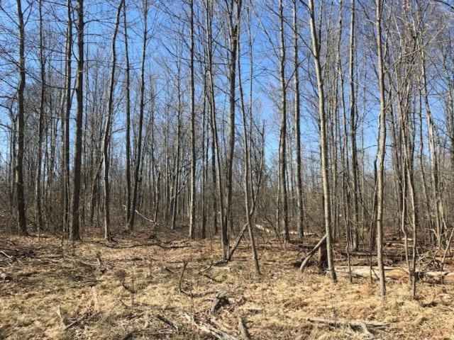 0 Harding Road Barryton, MI 49305 - Photo 8 of 8 4